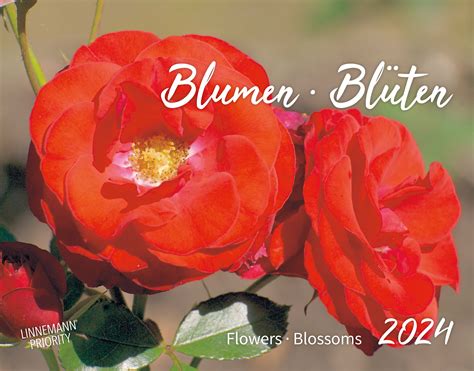 Wandkalender Blumen Blüten 2024 Linnemann Verlag