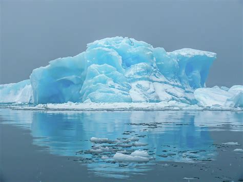A Magnificent Blue Iceberg In Antarctica Photograph By Elizabeth