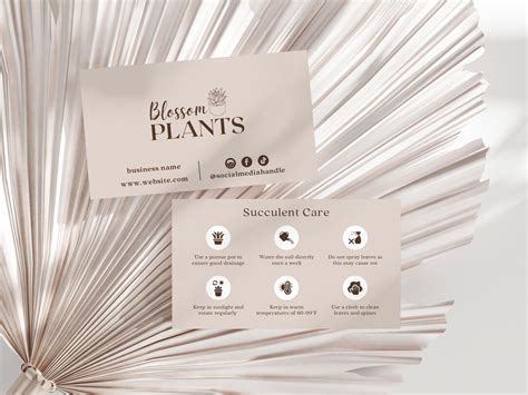 Succulent Care Card Template Editable Succulent Care Instructions