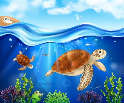 Turtle Life Cycle Infographics Stock Vector Illustration Of Tortoise