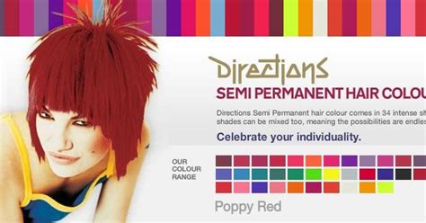 Main colors as hair color tones: KatSick: GIVEAWAY: 2 x 88ml La Riche Directions Hair Dye ...