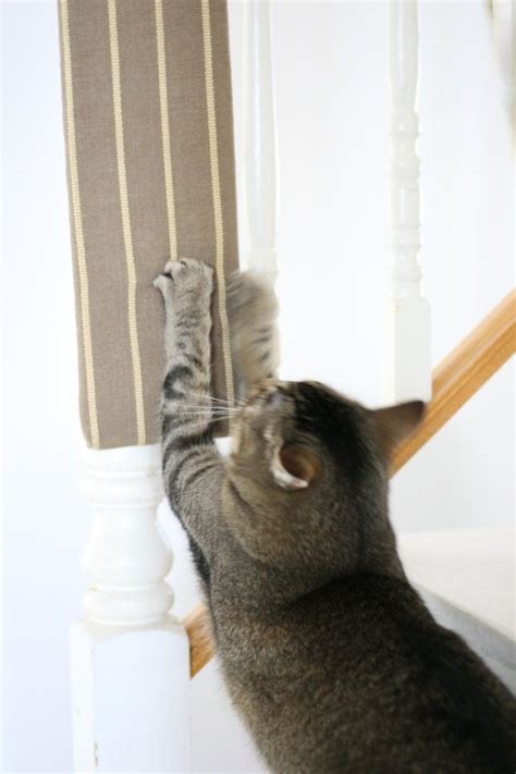 Portable Cat Scratching Post Mobile Scratching Board Cat Scratching