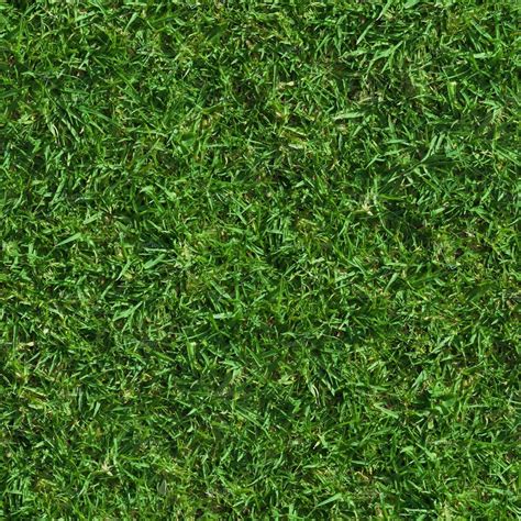 Lush Seamless Grass Texture Textures ~ Creative Market