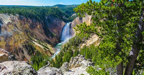Top Things To See In Yellowstone National Park Driving The Grand Loop