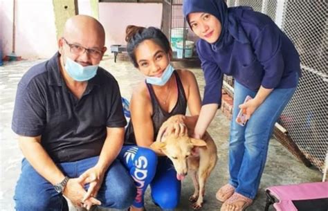 Being supermum with dr jezamine lim iskander | firstclasse malaysia. Harith Iskander Adopts Adorable 2-Legged Doggo Despite ...