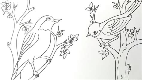 Cara Menggambar Burung Menggambar Burung Yang Mudah Youtube