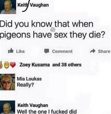 Did You Know That When Pigeons Have Sex They Die Like Comment Share