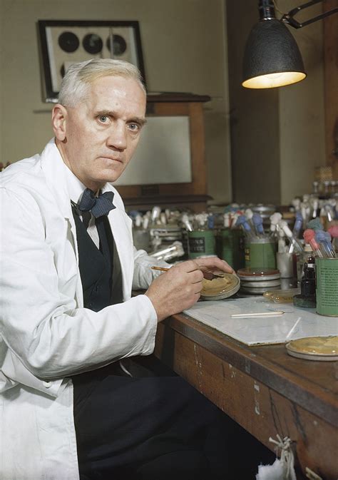 1941 The Commercial Development Of Penicillin
