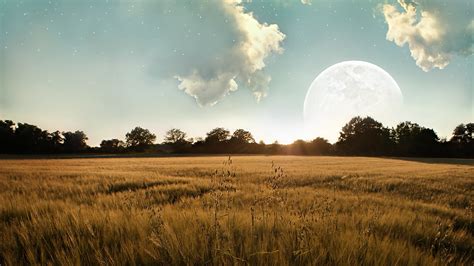 Brown Wheat Field Under White Cloudy Sky Field Landscape Moon