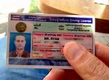 Driver License Record Online