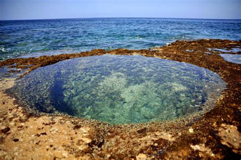 Check spelling or type a new query. Tidal Pool, Kaena Point State Park, Oahu, Hawaii | Oahu ...