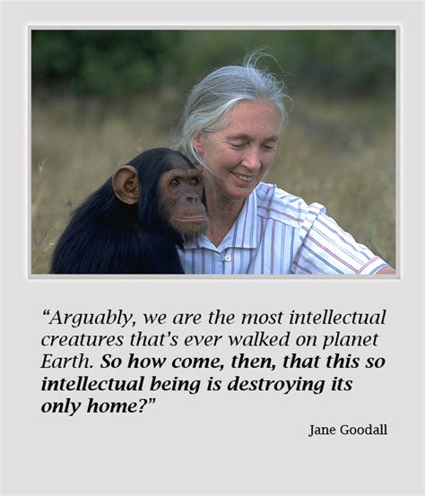 Jane Goodalls Quotes Famous And Not Much Sualci Quotes 2019