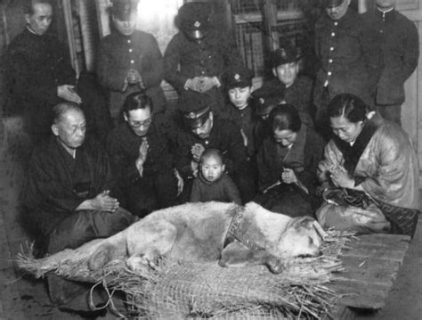 The Last Photo Ever Taken Of Hachiko Arguably The Most Loyal Dog Ever