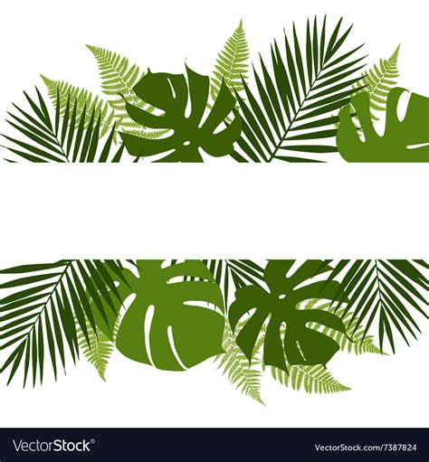 tropical leaves background with white banner vector image