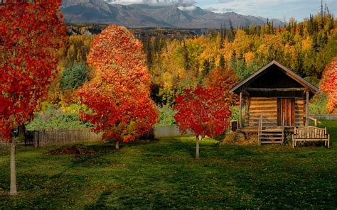 Cabin In Autumn Countryside Countryside Cabins Autumn Nature Hd