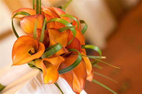 For a fall wedding, calla lilies in flame colors, like shades of red and mango, provide a perfect seasonal touch. Mango Calla Lily Bouquet | Lily bouquet, Calla lily, Calla ...