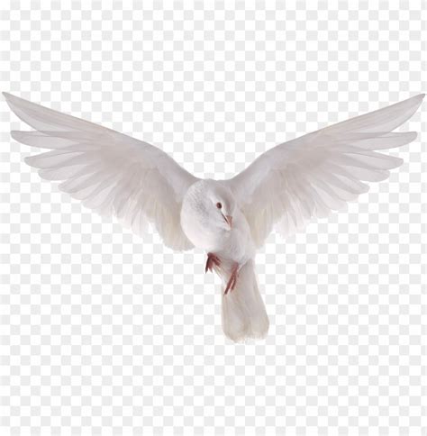 Free Download Hd Png Heavenly Dove Holy Spirit Transparent Png