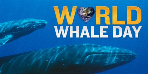 Its World Whale Day Awesome Ocean
