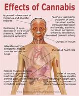 Physical Effects Of Marijuana On The Body