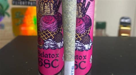 Pre Roll Review Gelato X Gsc Preroll By Flightpath The Highest Critic