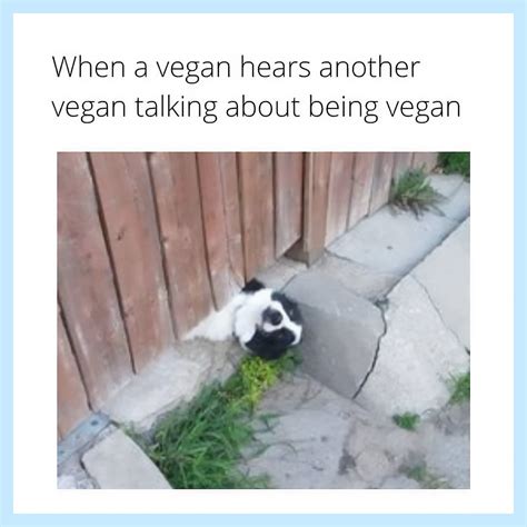 16 Relatable Humorous Vegan Memes To Share Cook Heal