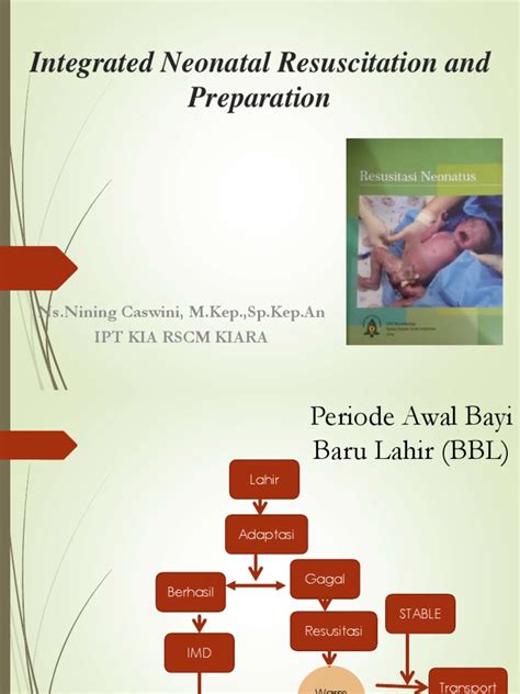 Integrated Neonatal Resuscitation And Preparation Pdf