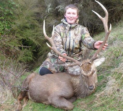 Trophy Sika Stag Hunting