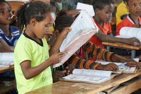 Time To Make English A Working Language Of Ethiopias Federal
