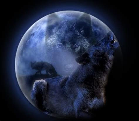 Black Wolf Moon By Shadesea On Deviantart