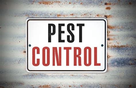 Raleigh exterminator, pest control & termite treatment. Saber Exterminating - Termite and Pest Control ...