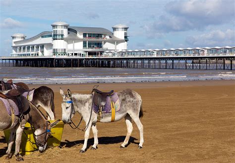 Donkey On The Beach And Grand Pier Weston Super Mare Somerset England