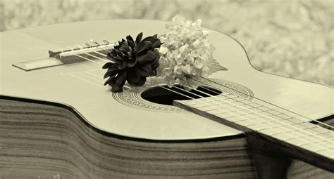 Acoustics Black White Floral Greeting Guitar Instrument Music