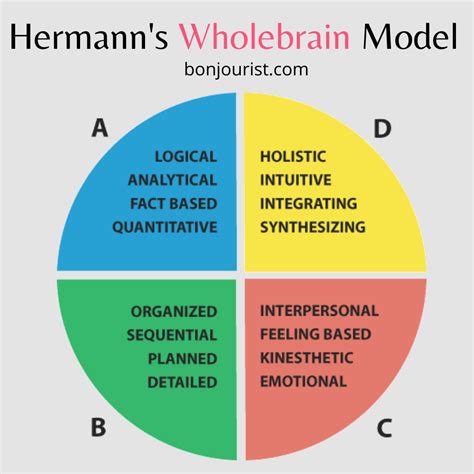 Hermanns Wholebrain Model Productivity In The Workplace Self