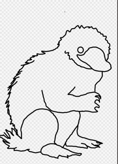 Get it for the kindle. How to Draw a Niffler: 10 Steps (with Pictures) - wikiHow