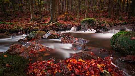 Beautiful Water Stream Between Rocks In Forest Hd Nature Wallpapers