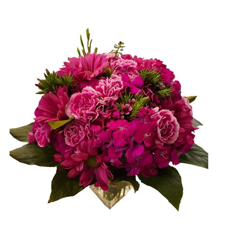 חנות פרחים קטנה ומטריפה בתל אביב משלוח פרחים לכל הארץ והעולם פרחי גורדון