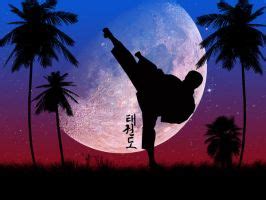 He is great in karate a world champion etc. Shotokan Karate-do by Darigaazthenewflame on DeviantArt