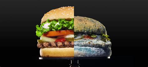Перевод слова whopper, американское и британское произношение, транскрипция, однокоренные слова, примеры использования. Will a Moldy Whopper Whet Consumers' Appetites? | The ...