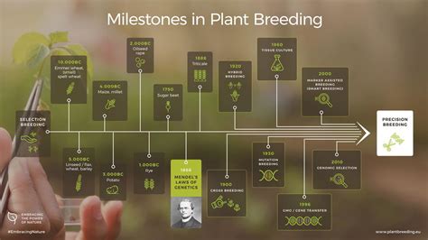 Milestones In Plant Breeding A History And Tradition Of Innovation