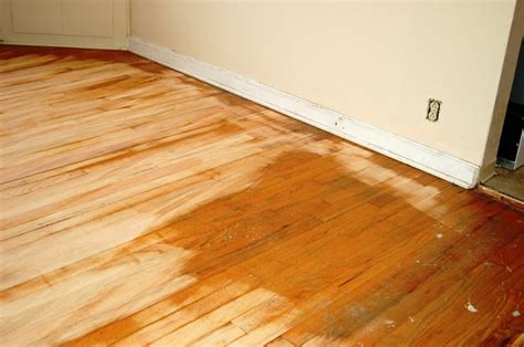 Check out our article about the best hardwood flooring with reviews, comparisons and a buyer's guide! Should I refinish my own Hardwood Floors: Should I try and ...