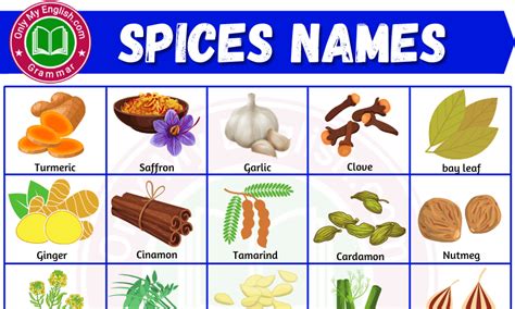 40 List Of All Spices Name In English With Pictures Onlymyenglish In