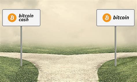 Doing so presents risks, but from their perspective, it is one of the greatest investment opportunities in history and a. Bitcoin Vs Bitcoin Cash: What's The Difference And Which ...