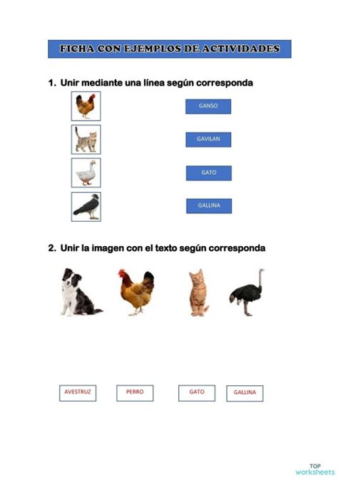 Relacionar Animales Ficha Interactiva Topworksheets