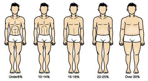 bodyfat percentage visual method