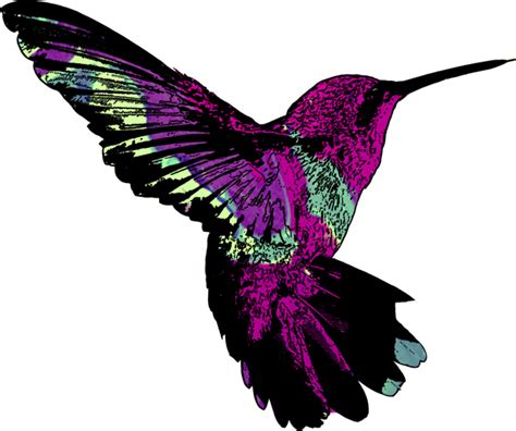 Hummingbird Pattern On Behance