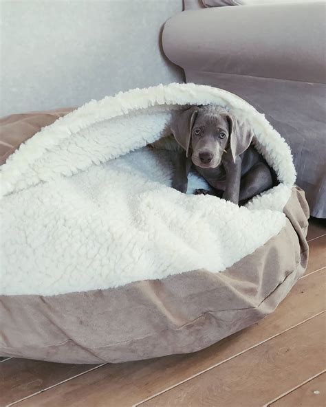Snoozer Luxury Cozy Cave® Dog Bed 28 Colorsfabrics 3 Sizes Cozy