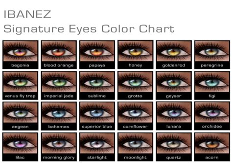 A Guide To Eye Color Coolguides Eye Color Chart Eye Color Facts