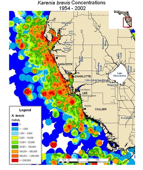 Map Of Red Tide In Florida Florida Map