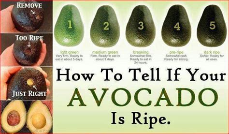 Ripe Avocado Test Class Is In Session Pinterest
