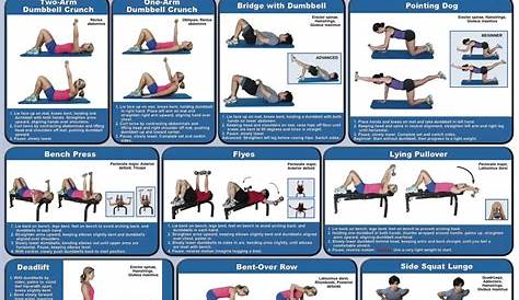 full body dumbbell workout chart pdf
